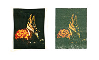 Alternative Processes